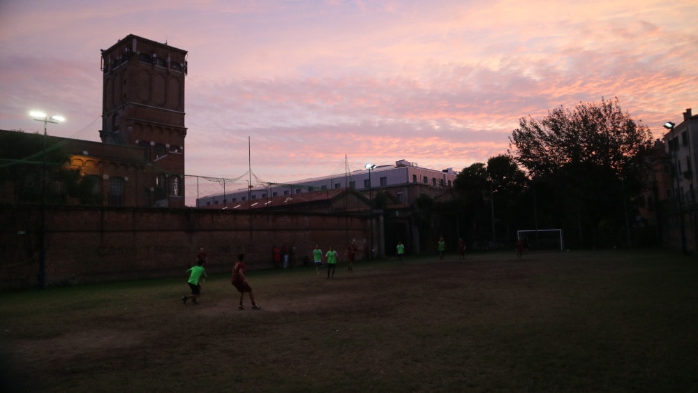 Foto del torneo